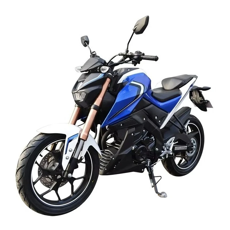Moto Sportive de Course DUTRIEUX HL250P – 250cc / 300cc – Image 5