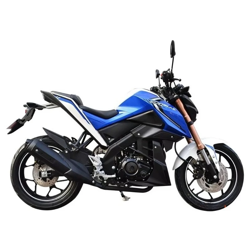 Moto Sportive de Course DUTRIEUX HL250P – 250cc / 300cc – Image 3